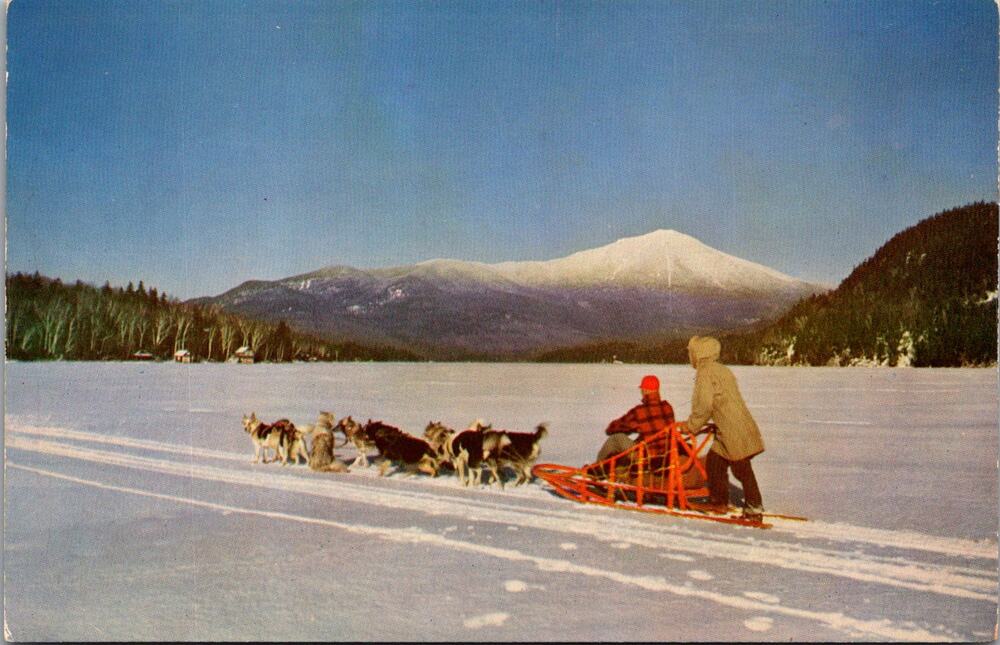 Husky Dog Team in Alaska Vintage Postcard SP10-15